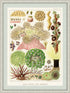 Ornate White Wood with Mat board Framed Great Barrier Reef Anemones Vintage Illustrations Wall Art Prints